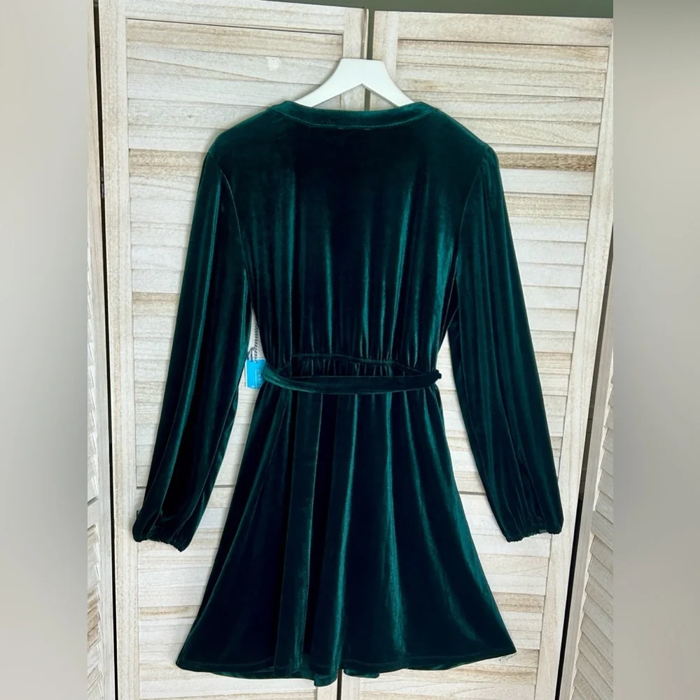 NWT Draper James RSVP Elegant Long Sleeve Velvet Dress. Size XL - Picture 6 of 11